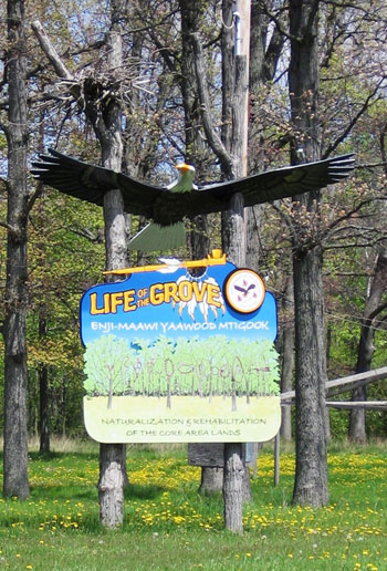 Enji-Maawi Yaawaad Mtigook - "Life of the Grove": Naturalization and Rehabilitation Project